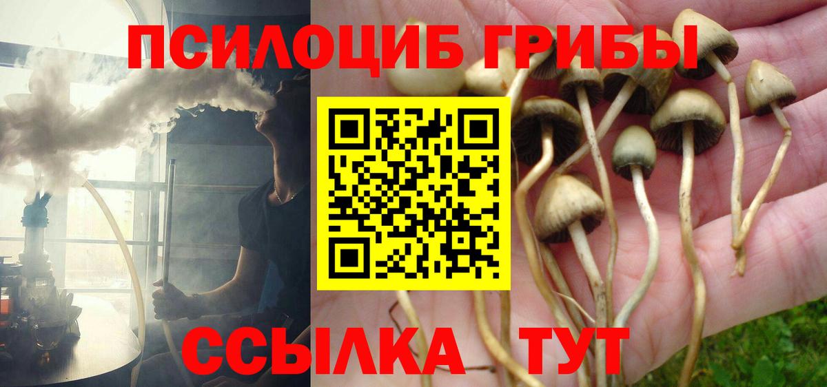 Барнаул  Галлюциногенные грибы прущие грибы  Вход с VPN 